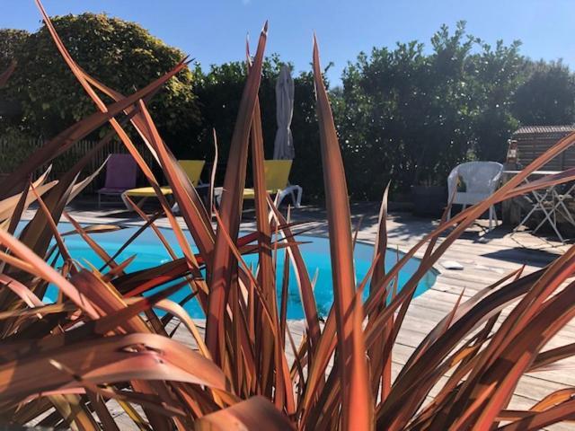 Du Cote De Chez Sand Villa Castets Buitenkant foto